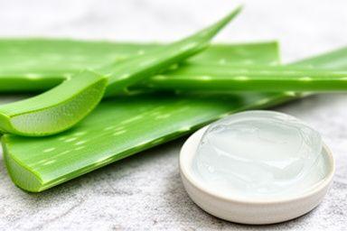 Frische Aloe-Vera-Blätter mit transparentem Gel in einer kleinen Schale auf einem hellen Stein